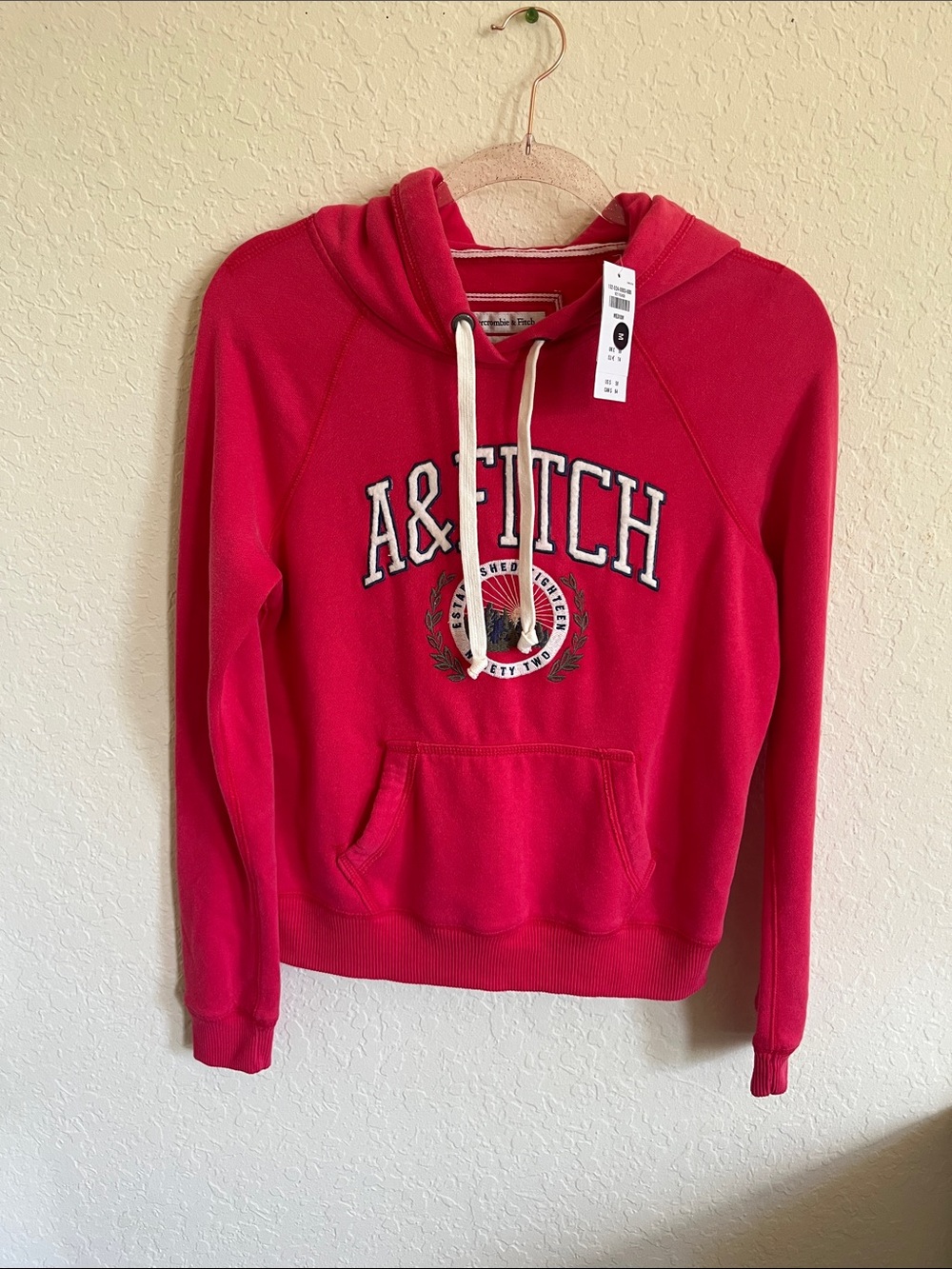 Abercrombie & Fitch Bright Pink Logo Hoodie